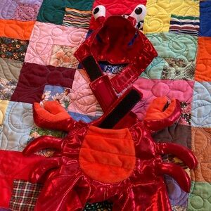 Dog Costume, Crab 🦀 Red, Black and White, Size Small, NWOT